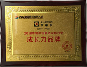 2019年度中國(guó)舒適家居行業(yè)-成長(zhǎng)力品牌.jpg